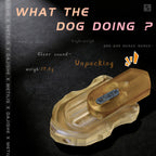 what the dog doing？